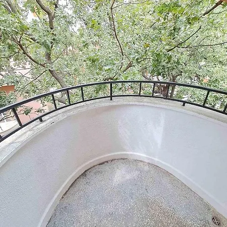 Wild Cherry * セインツ・コンスタンティン＆ヘレナ